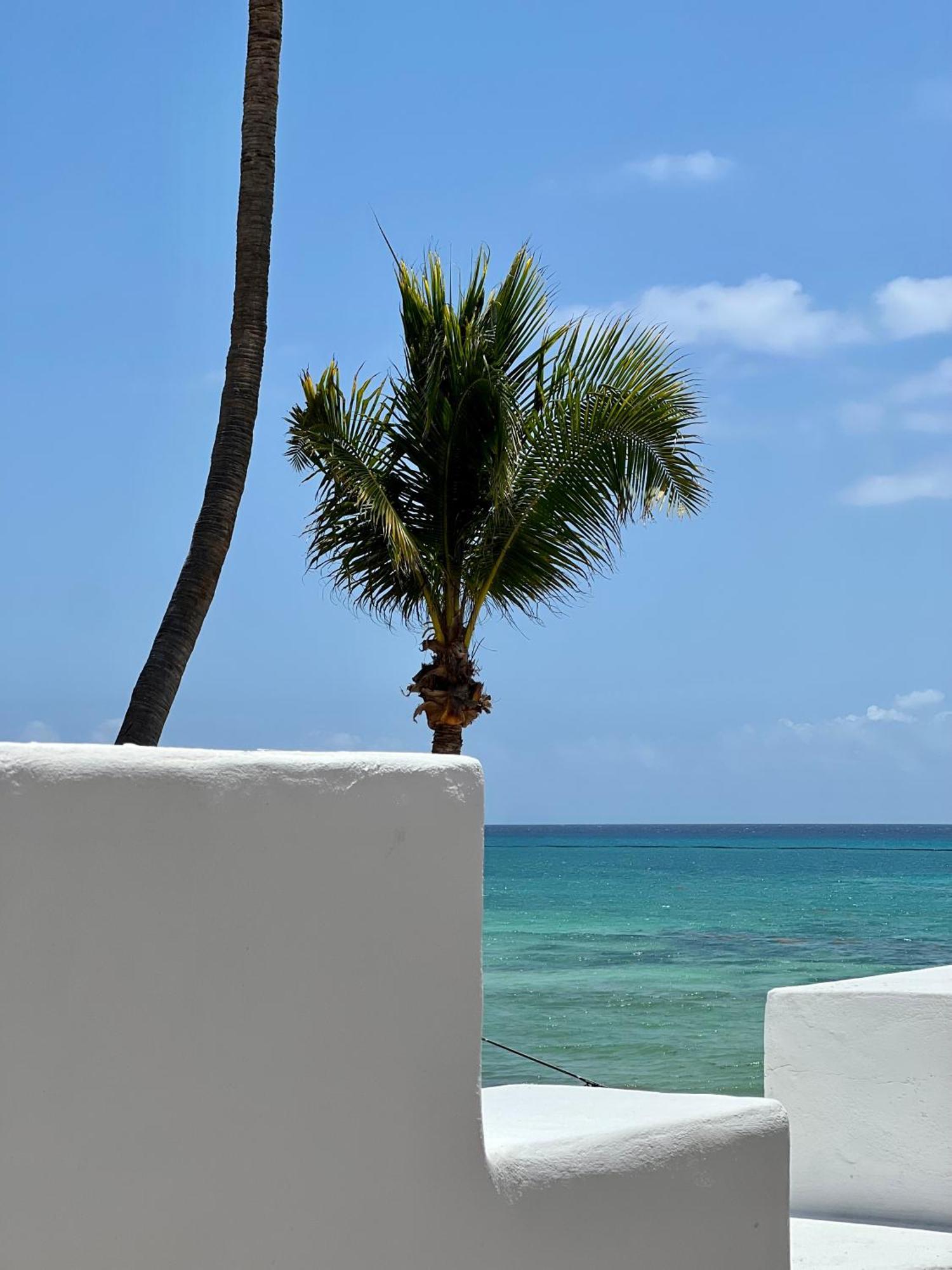 Pelicano Inn Playa Del Carmen - Beachfront Hotel Buitenkant foto