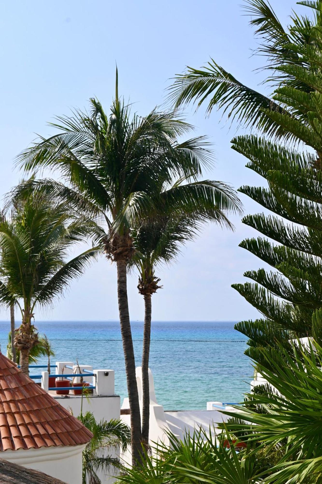 Pelicano Inn Playa Del Carmen - Beachfront Hotel Buitenkant foto