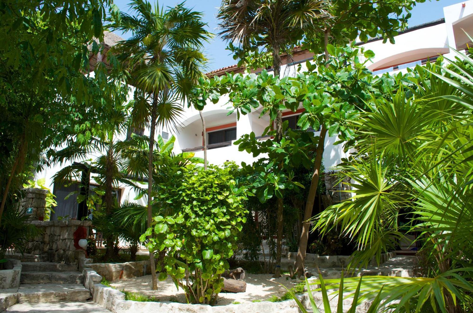 Pelicano Inn Playa Del Carmen - Beachfront Hotel Buitenkant foto